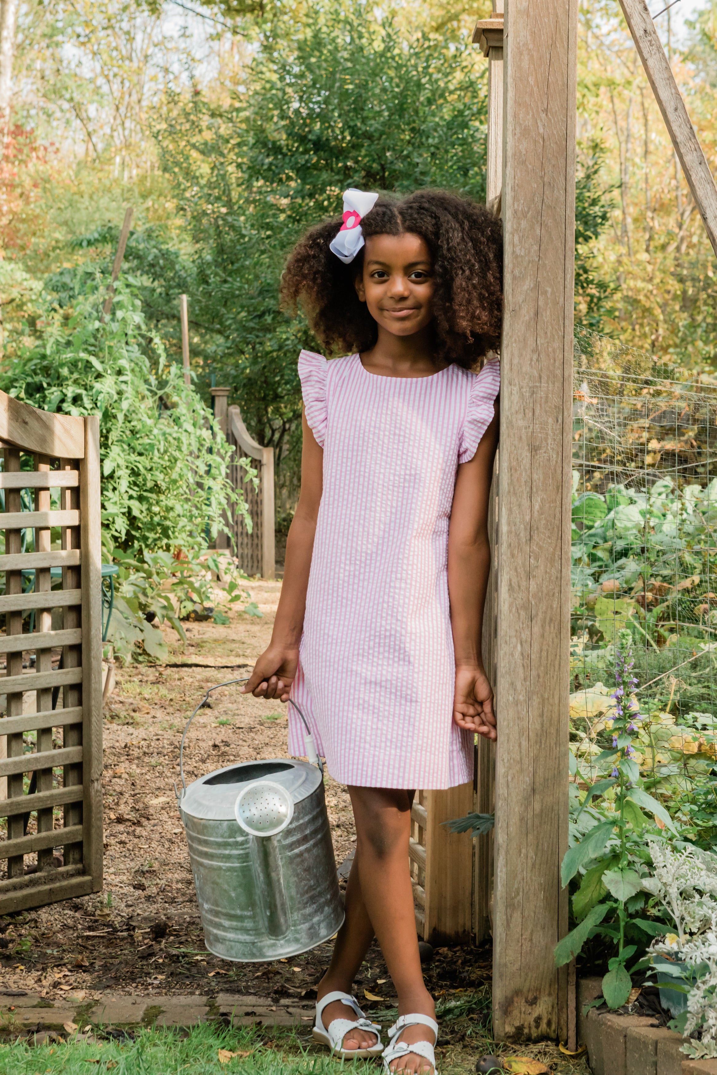 Seersucker Flutter Sleeve Dress