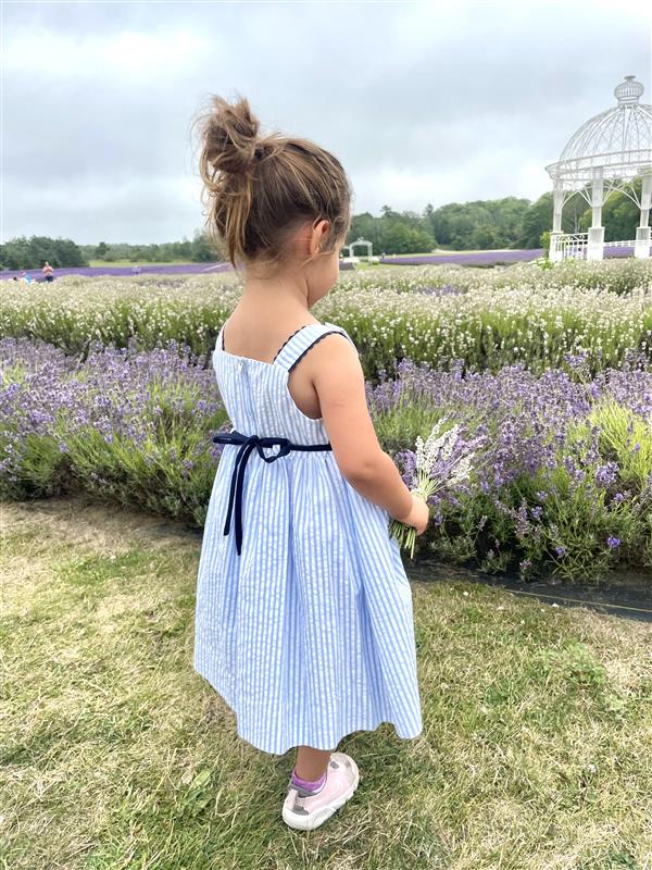 Seersucker Dress With Popsicles