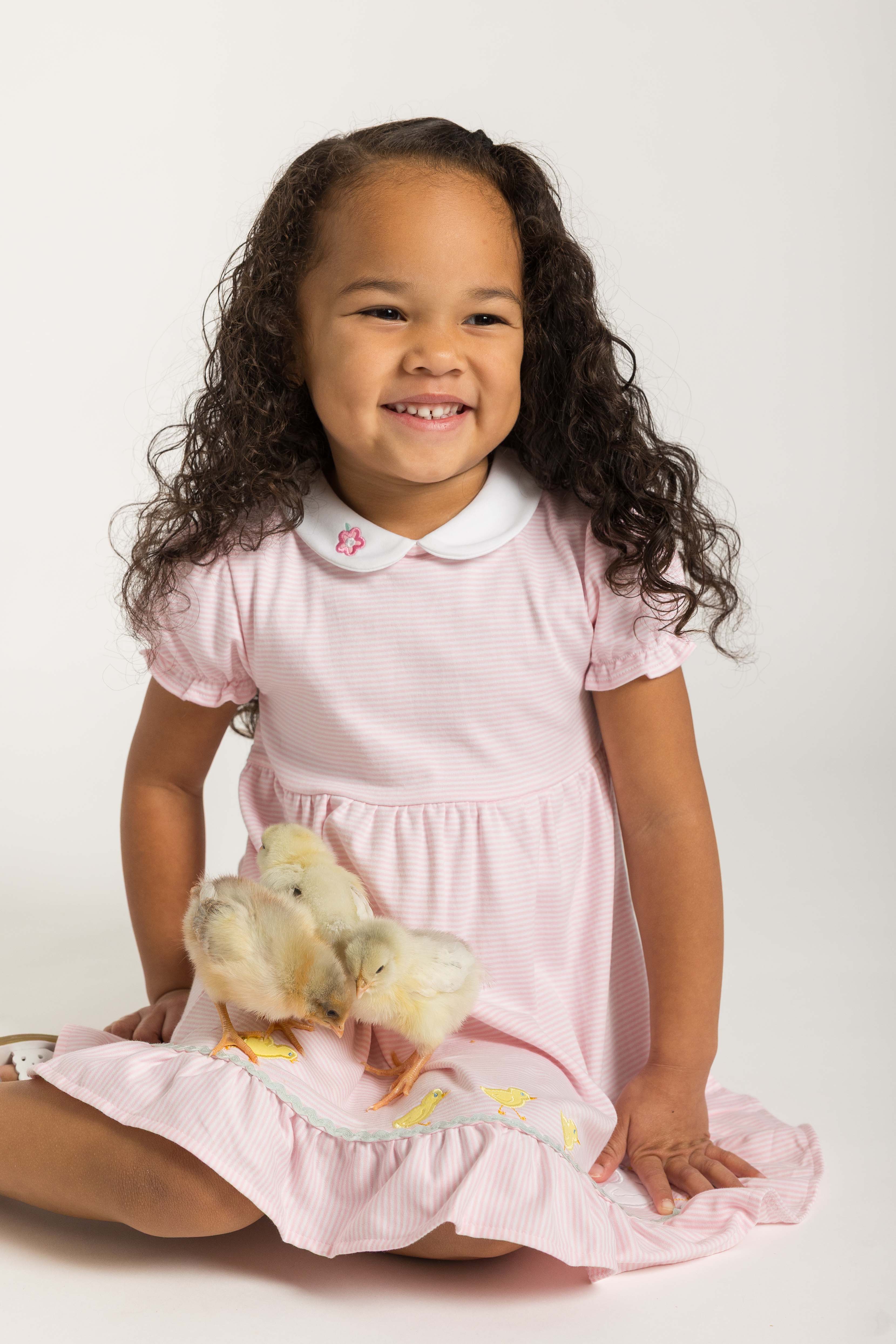 Young girl in a pink dress holding baby chicks on a white background