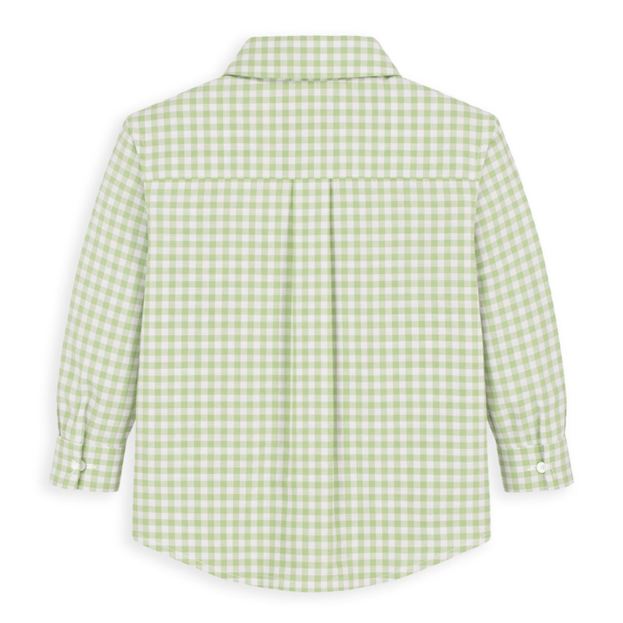 Check Button Down Shirt