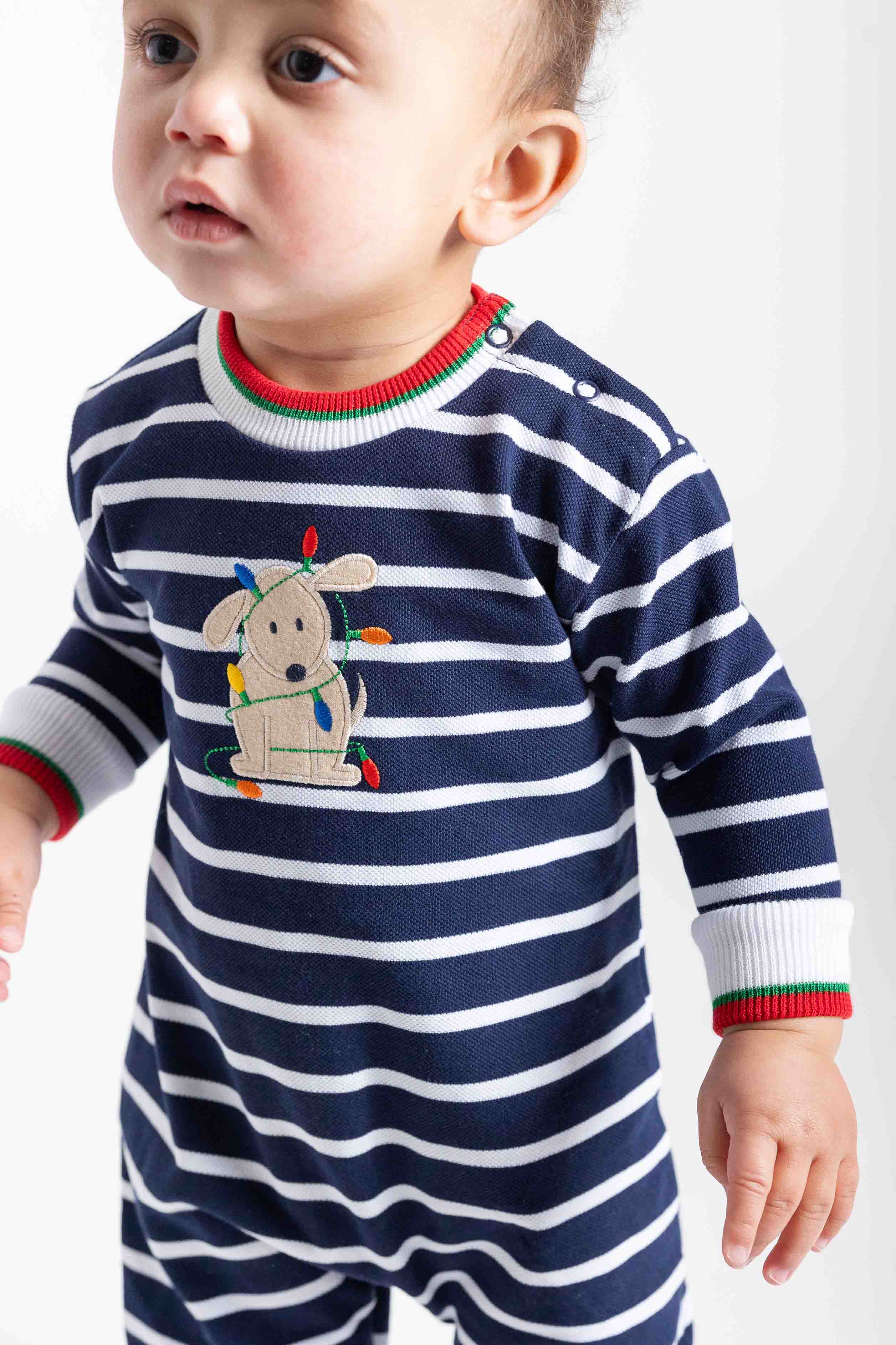 Stripe Knit Longall With Holiday Lights Dog