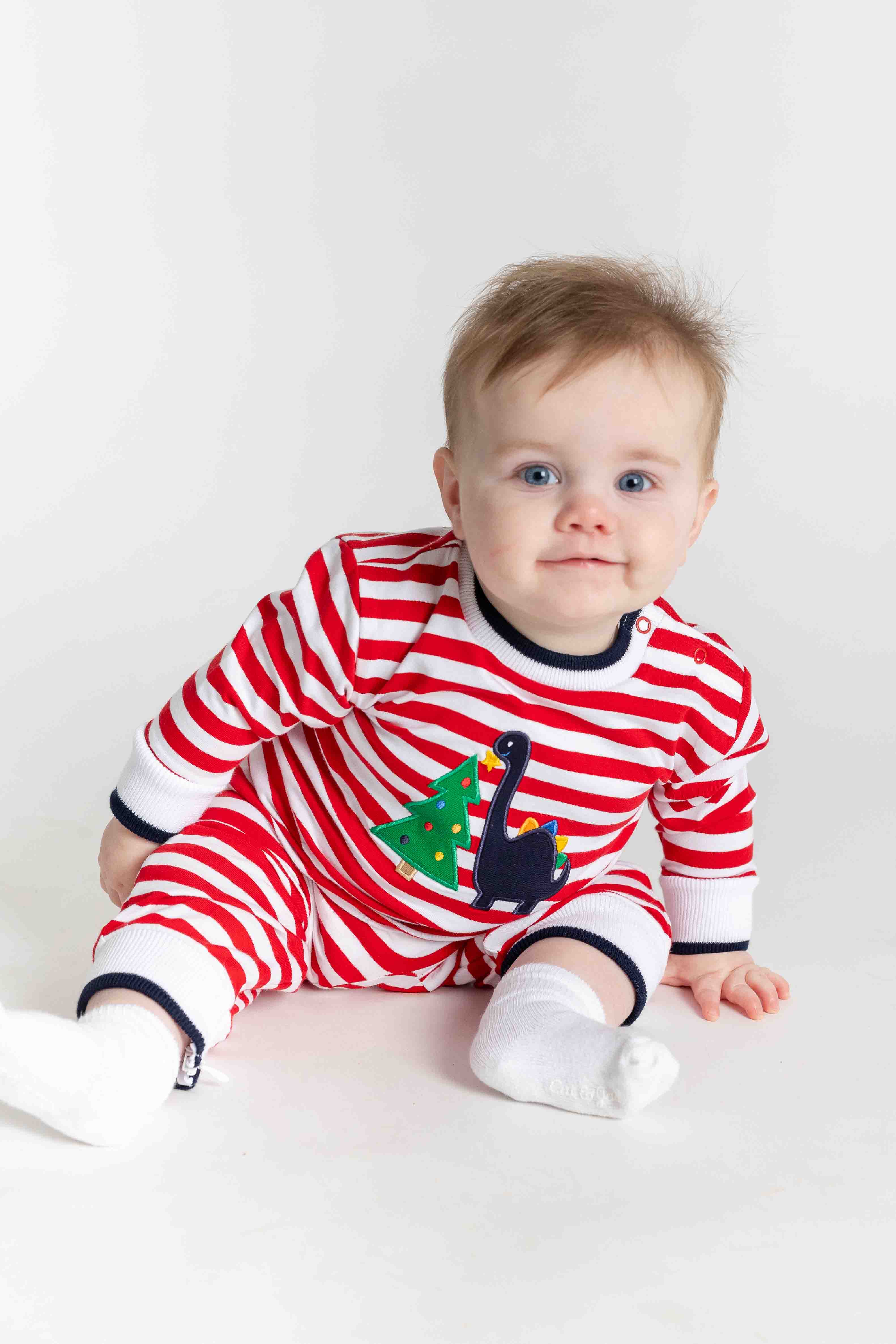 Stripe Knit Longall With Dino & Chistmas Tree