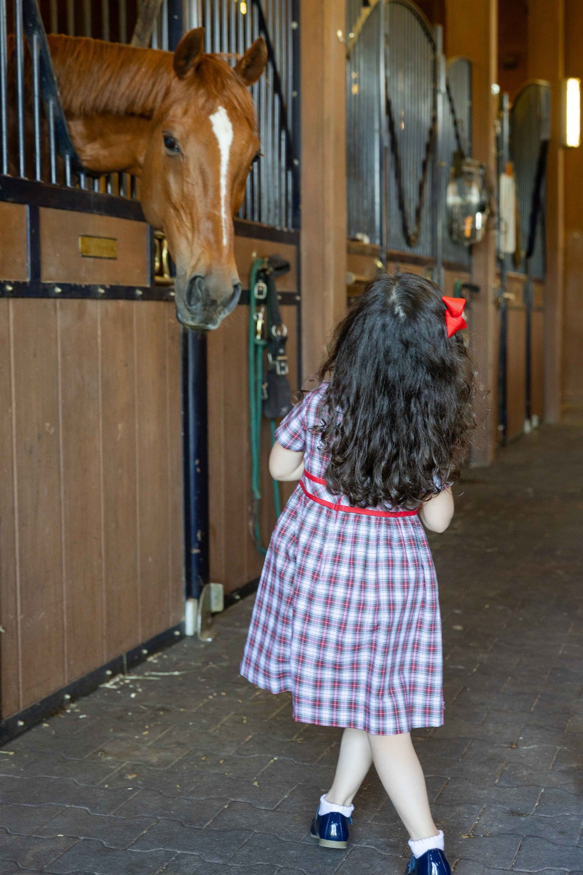 Plaid Dress with Neck Ruffle