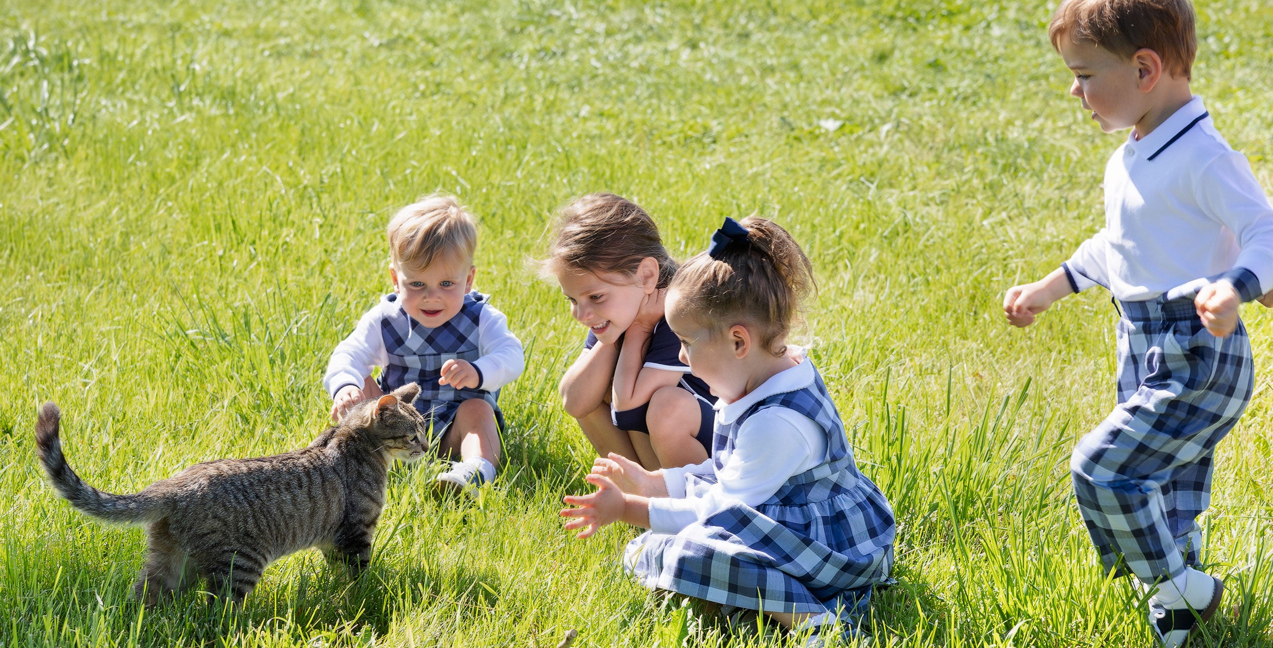 Four young children in matching blue and white plaid outfits are playing on a sunny green grass lawn, with one child reaching toward a tabby cat.