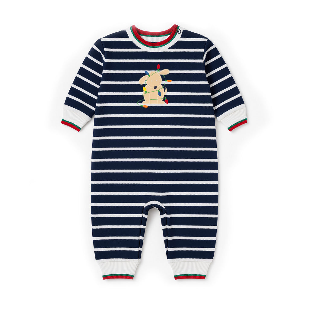 Stripe Knit Longall With Holiday Lights Dog